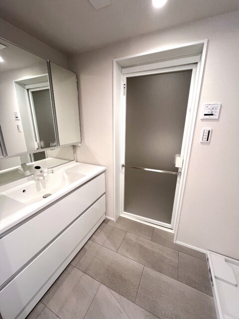 ビラハイツ北の丸 洗面室