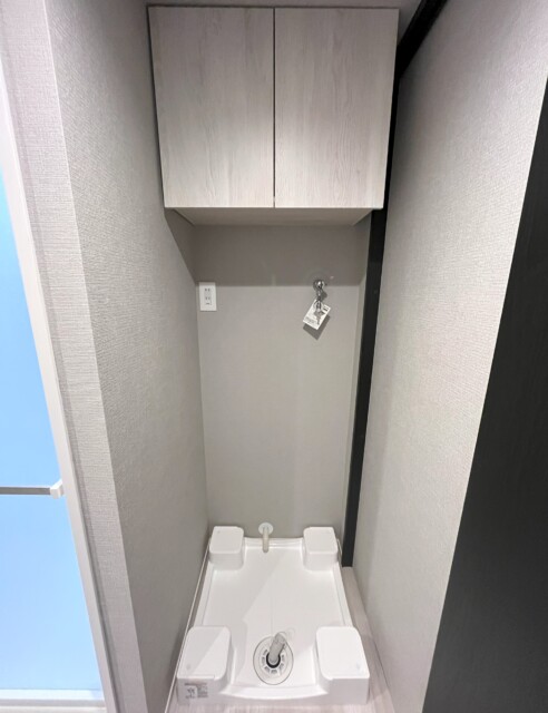 秀和第二南平台レジデンス (52)洗面室