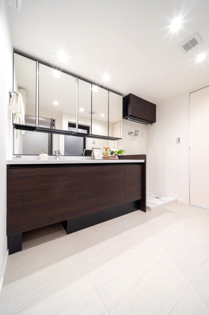 秀和四谷パークサイドレジデンス 洗面室