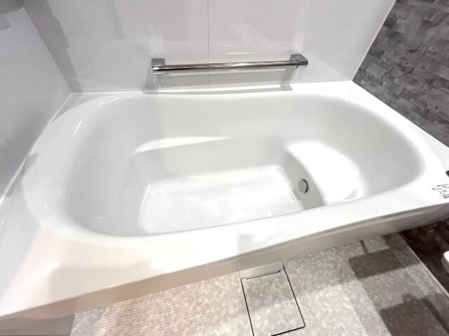 秀和第二南平台レジデンス 浴室