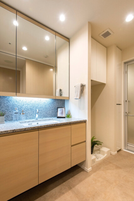 クラッシィタワー東中野 洗面室