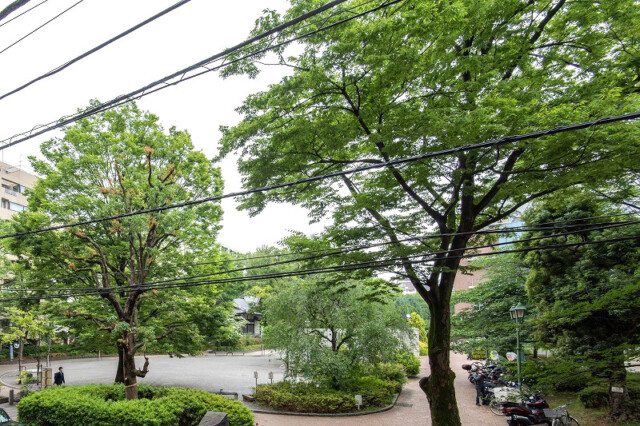 スカイコート日本橋浜町公園 眺望