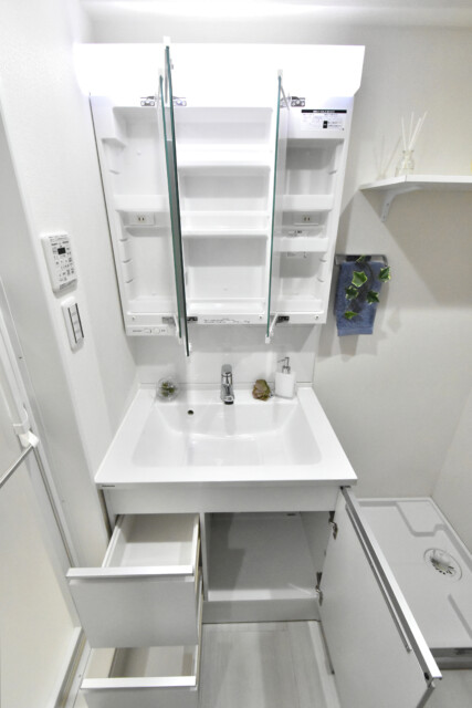 秀和五反田駅前レジデンス 洗面室