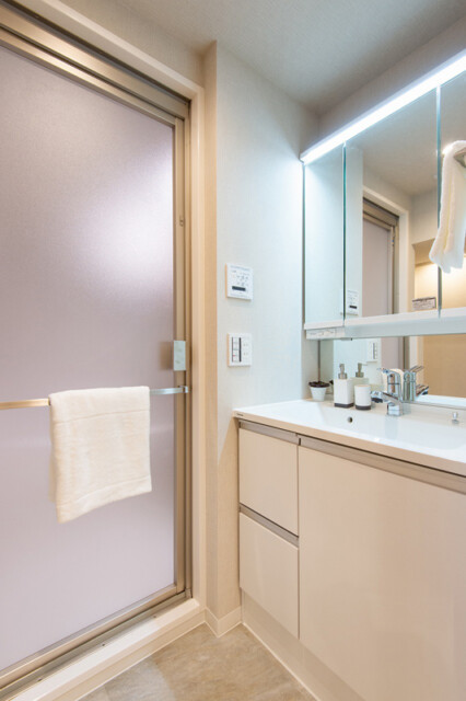 スカイコート日本橋浜町公園 洗面室