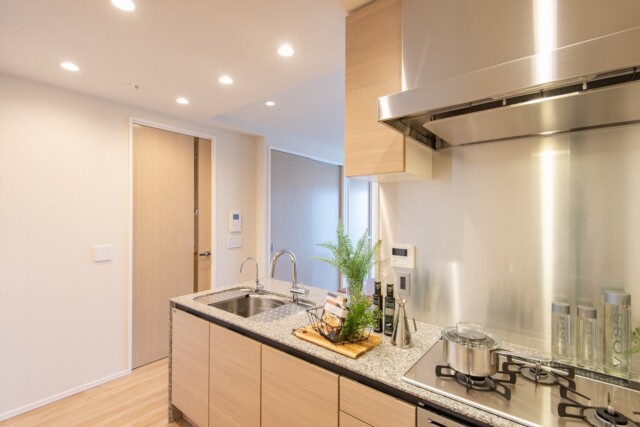 クラッシィタワー東中野 K