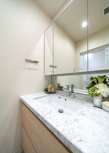 パークタワーグランスカイ (3)洗面室