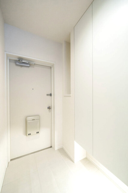 ハイツ日本橋中洲 玄関