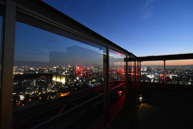 パークコート千代田富士見ザタワー (52)スカイテラス