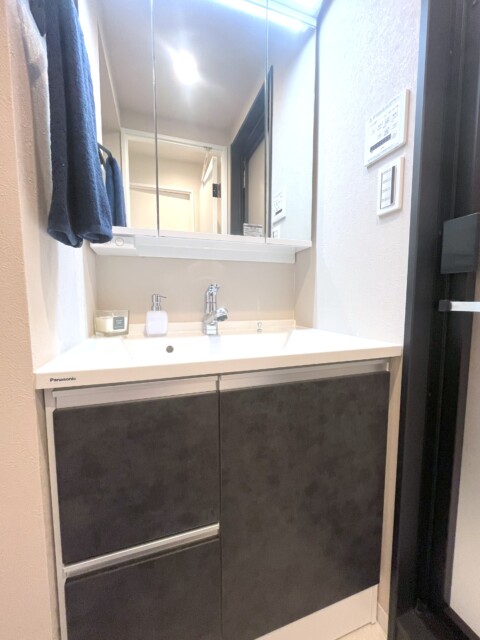 パレ二子玉川 (44)洗面室
