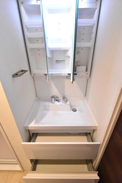 マイキャッスル池尻大橋 洗面室