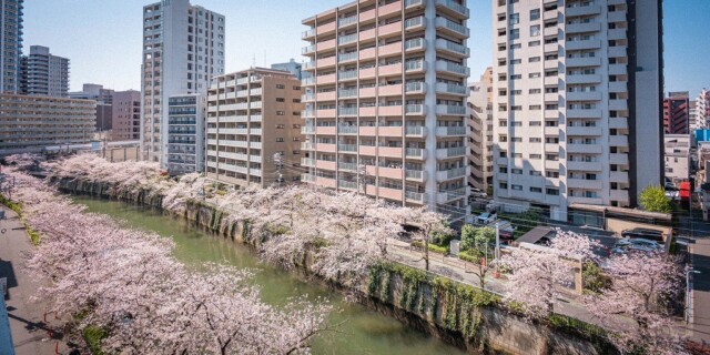 マンション雅叙苑 眺望