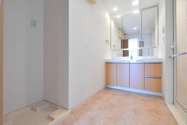 ライフピア豊春 洗面室