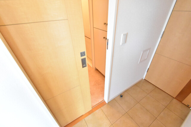 ライフピア豊春 洗面室