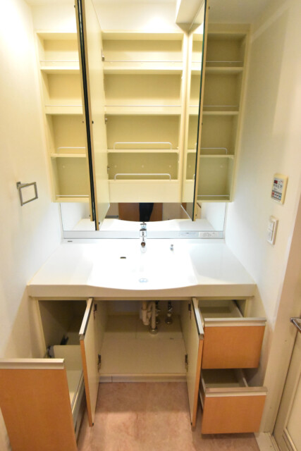 ライフピア豊春 洗面室