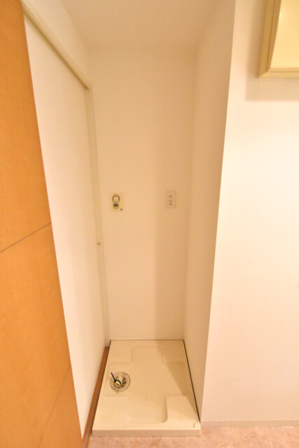 ライフピア豊春 洗面室