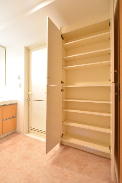 ライフピア豊春 洗面室