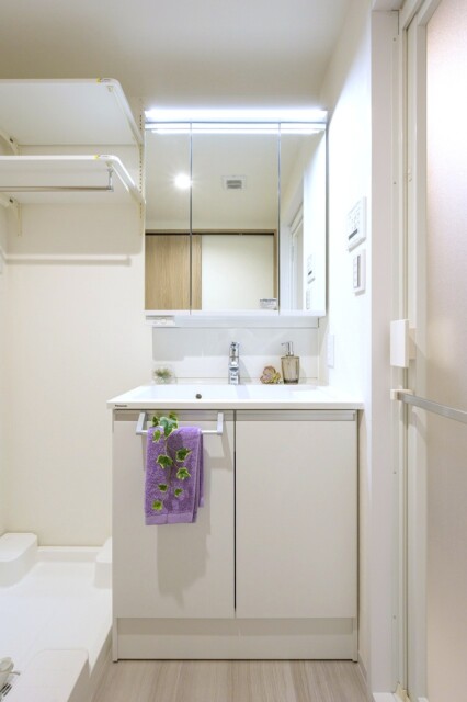 日商岩井方南町マンション 洗面室