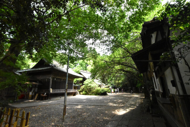 ときわ台駅周辺