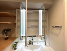 ライオンズマンション護国寺第三 洗面室