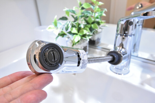 牛込ハイム 洗面室