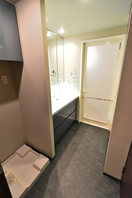 BrilliaMare有明TOWER＆GARDEN 洗面室