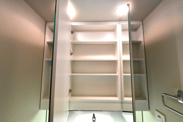 BrilliaMare有明TOWER＆GARDEN 洗面室