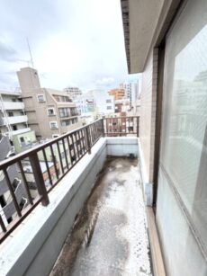 グランベル上野の杜 バルコニー グランベル上野の杜 バルコニー