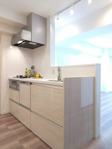 メガロン御殿山 K