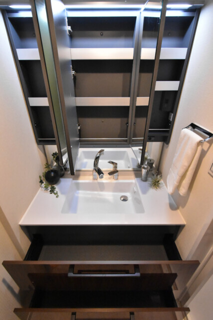 マートルコート恵比寿南Ⅱ 洗面室