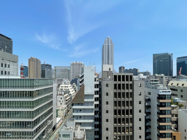 藤和シティスクエア三田ノースウィング 眺望