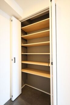 豊栄新都心マンション 玄関