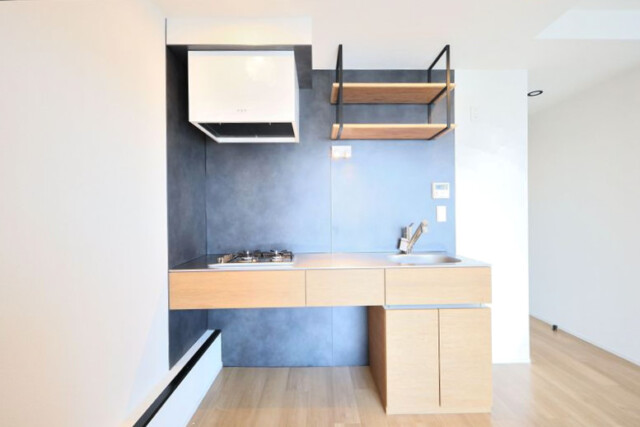 豊栄新都心マンション キッチン