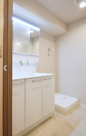 フジタ関口マンション 洗面室