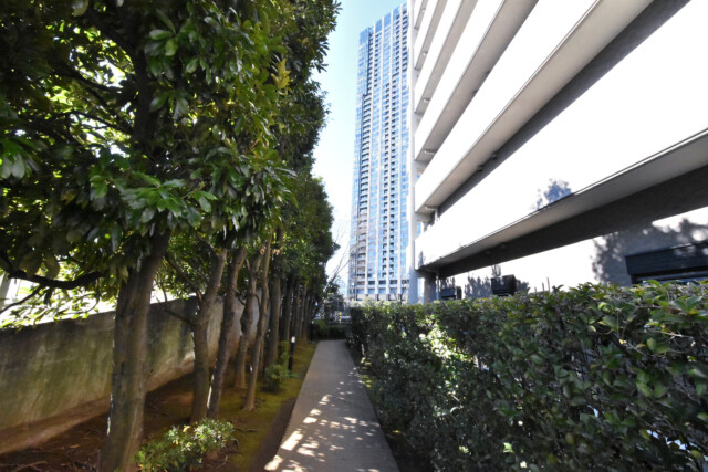 コスモ・ザ・キャナル東京イースト 遊歩道