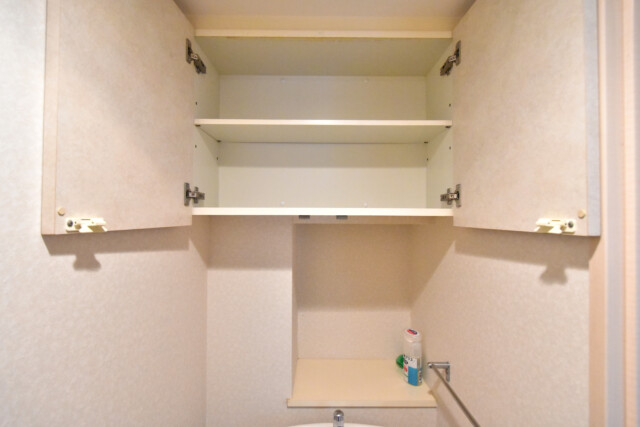 コスモ・ザ・キャナル東京イースト (89)トイレ