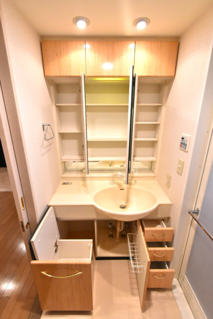 コスモ・ザ・キャナル東京イースト 洗面室