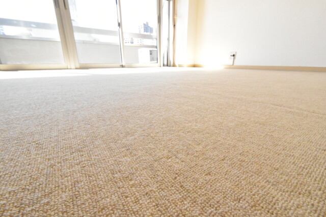 早稲田セントラルハイツ LDK