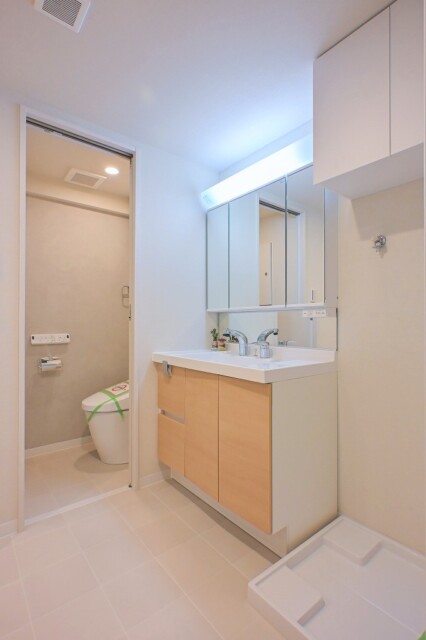 ライオンズマンション上野毛 洗面室