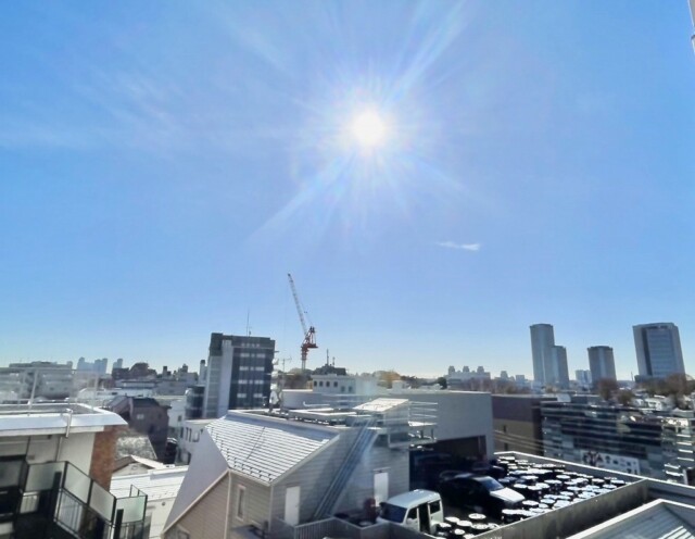 ライオンズマンション上野毛 眺望