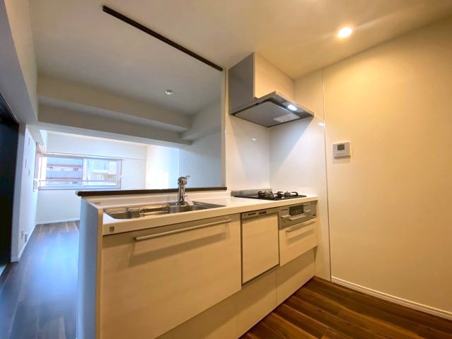 ライオンズマンション大森 キッチン