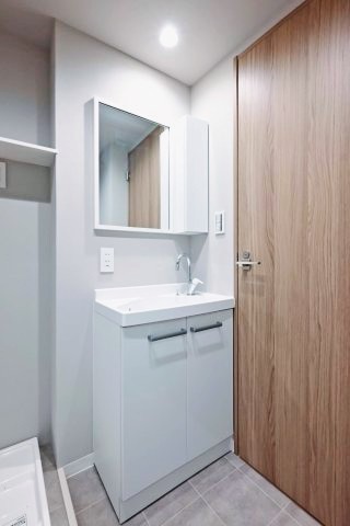 ライオンズマンション大森 洗面室