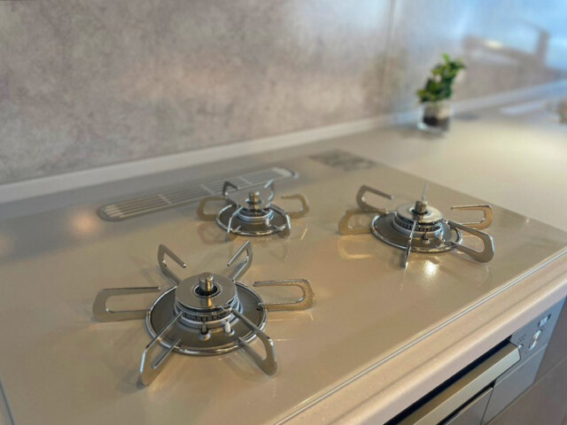 早稲田セントラルハイツ K