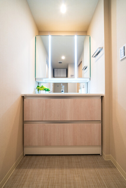 目黒青葉台グランドハイツ 洗面室