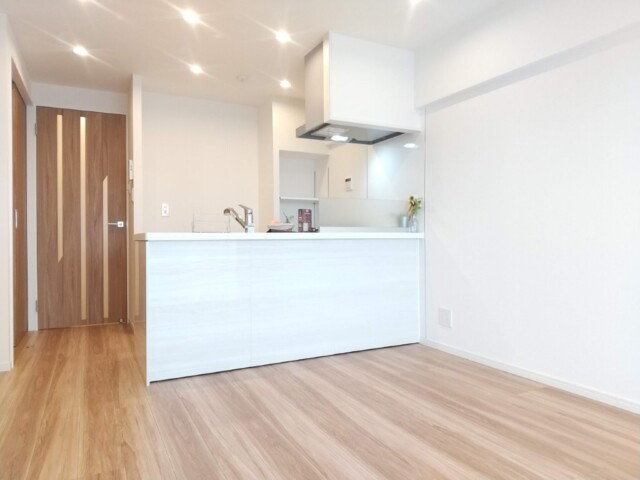 東建マンシヨン学芸大 LDK