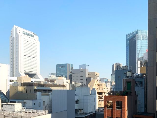 藤和三田コープⅡ 眺望