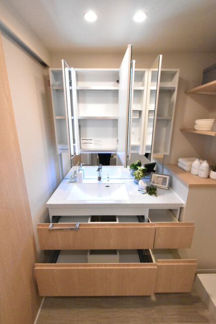 ライオンズマンション乃木坂 洗面室