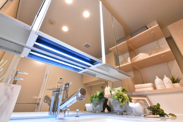 ライオンズマンション乃木坂 洗面室