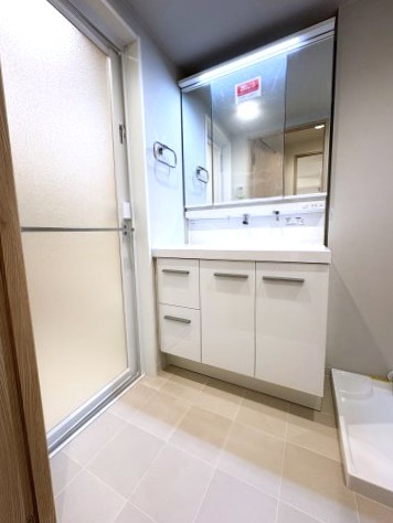 自由が丘ハイタウン 洗面室