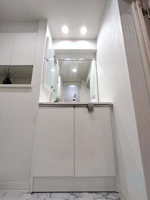 瀬田ハイツ 洗面室