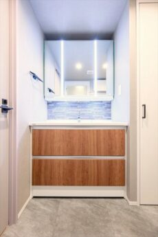 インペリアル中野南フラット 洗面室